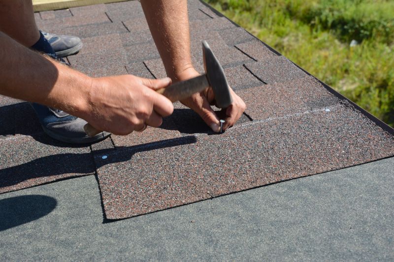 Asphalt Shingles Cleaning