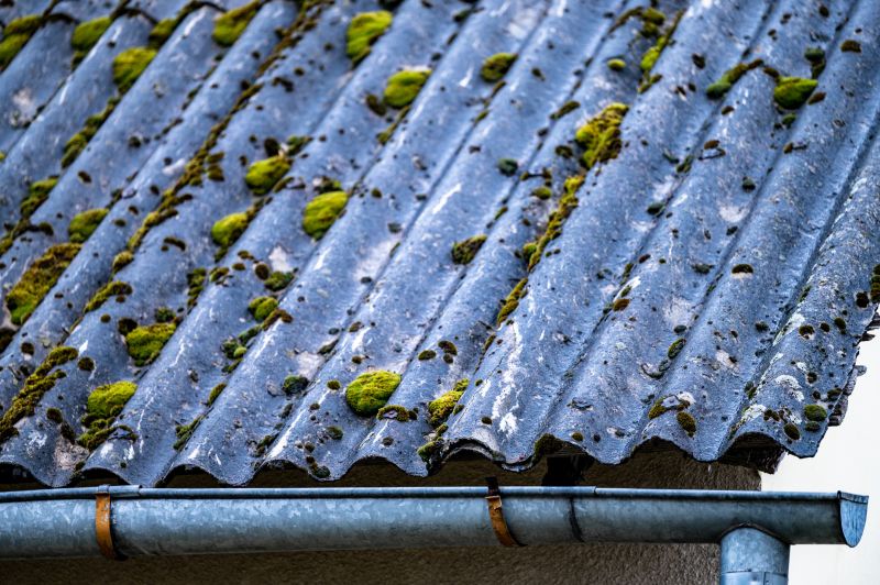 How Roof Cleaning Helps Prevent Mold, Algae, And Moss Growth