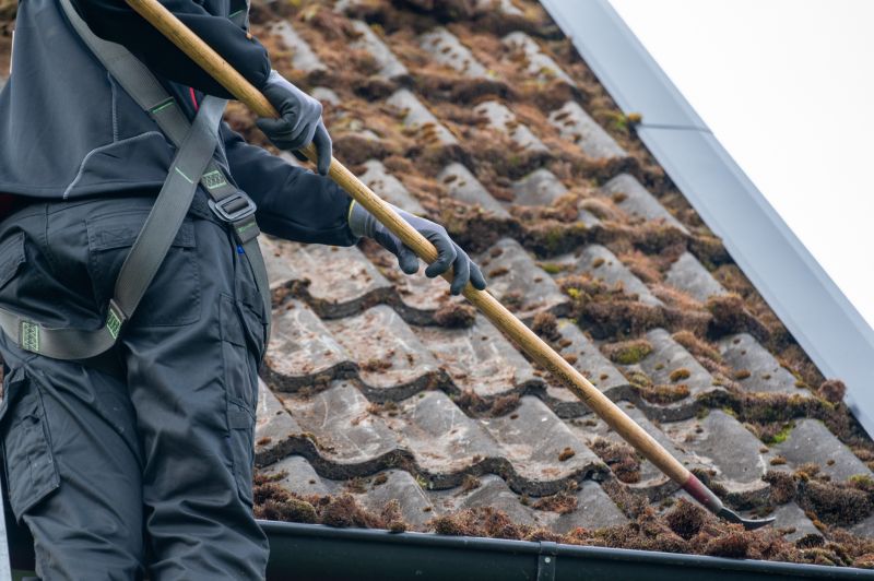 Roof Algae Removal